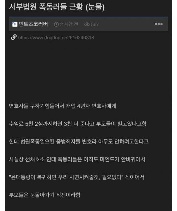 폭동애들.jpeg