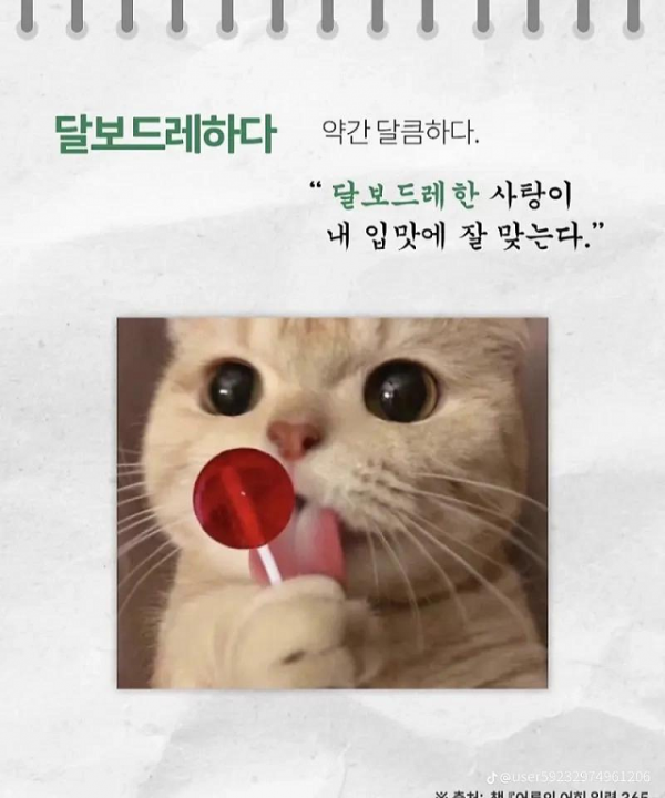 이미지_2025-02-27_225519740.png