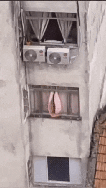 IMG_9613.gif