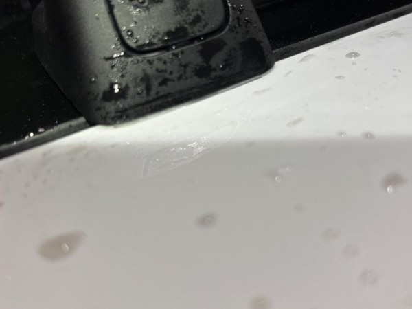 IMG_6600.jpeg