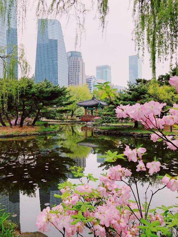 이미지_2025-05-25_110046836.png
