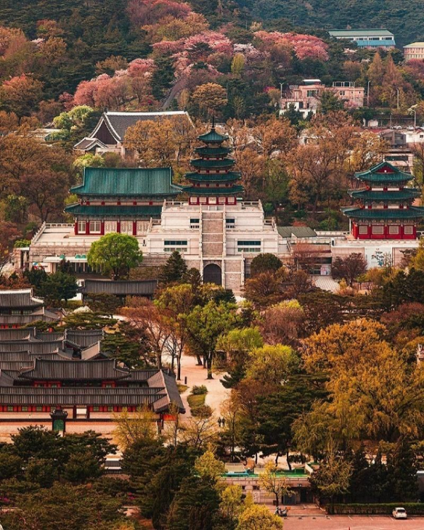 이미지_2025-05-25_110105563.png