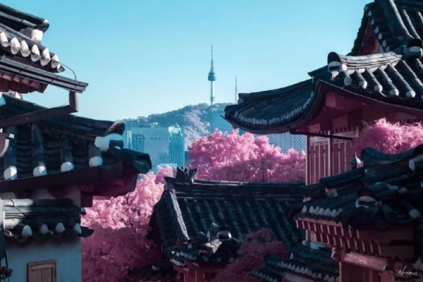 이미지_2025-05-25_105740230.png