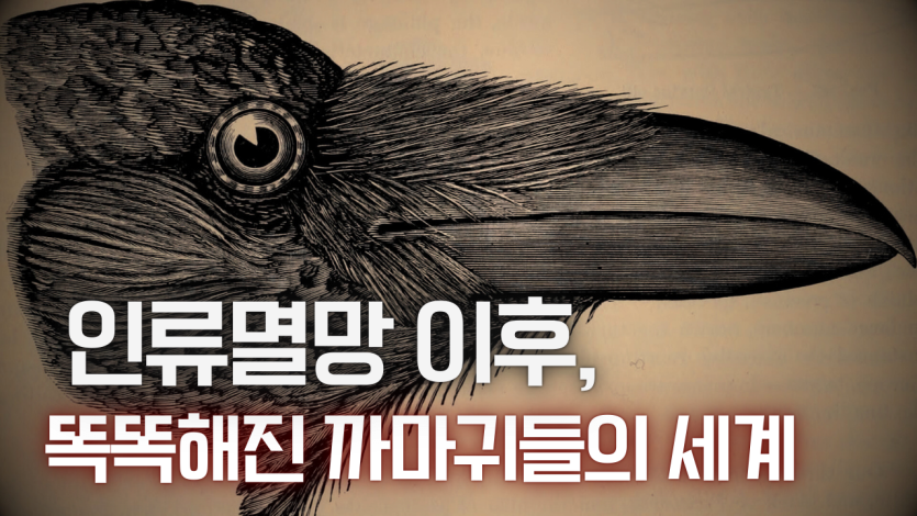 보라색의 심플한 음악 플레이리스트 유튜브 썸네일.png 까마귀들이 지배하는 문명 세계를 알아보자