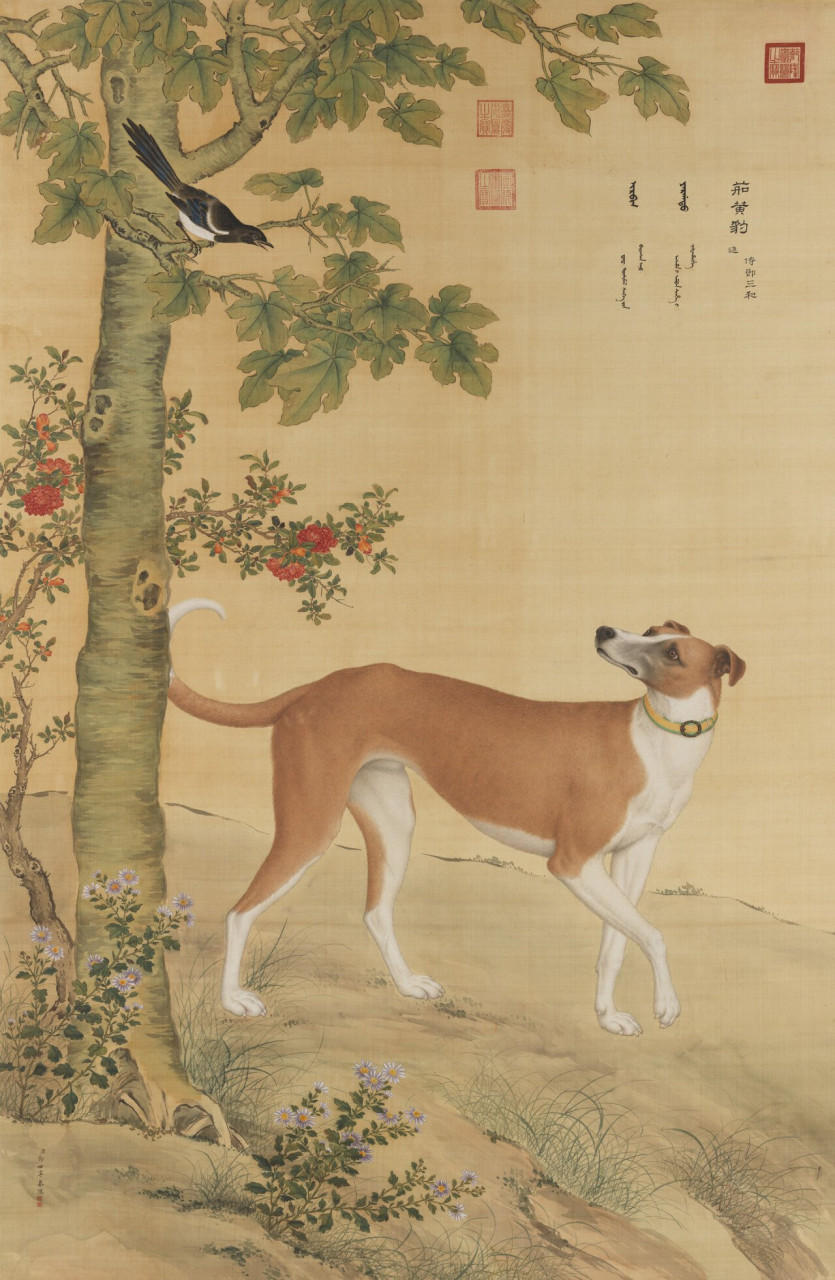 Ten_Prized_Dogs_08.jpg 까마귀들이 지배하는 문명 세계를 알아보자