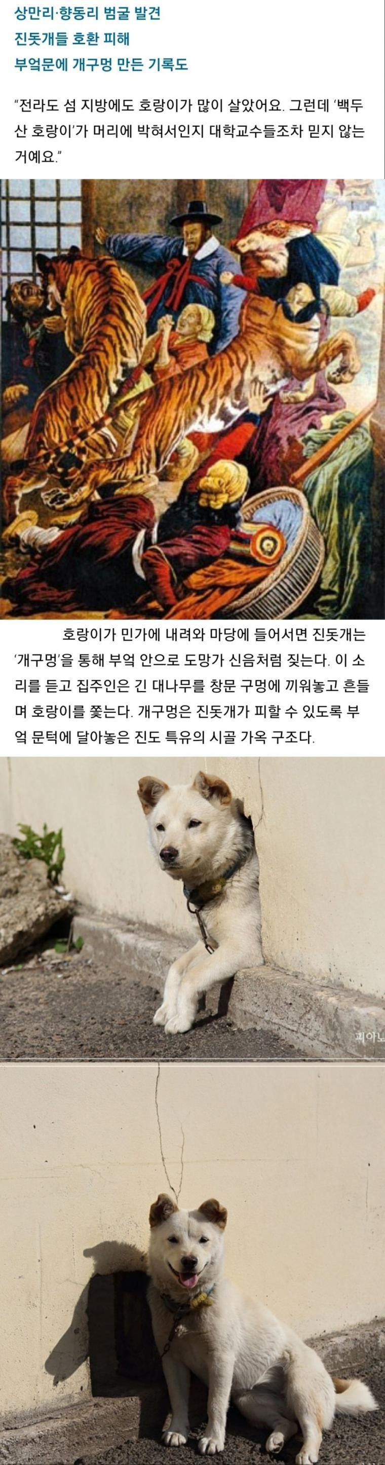 짤티비 - https://jjtv.kr
