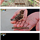 제목_없음.png