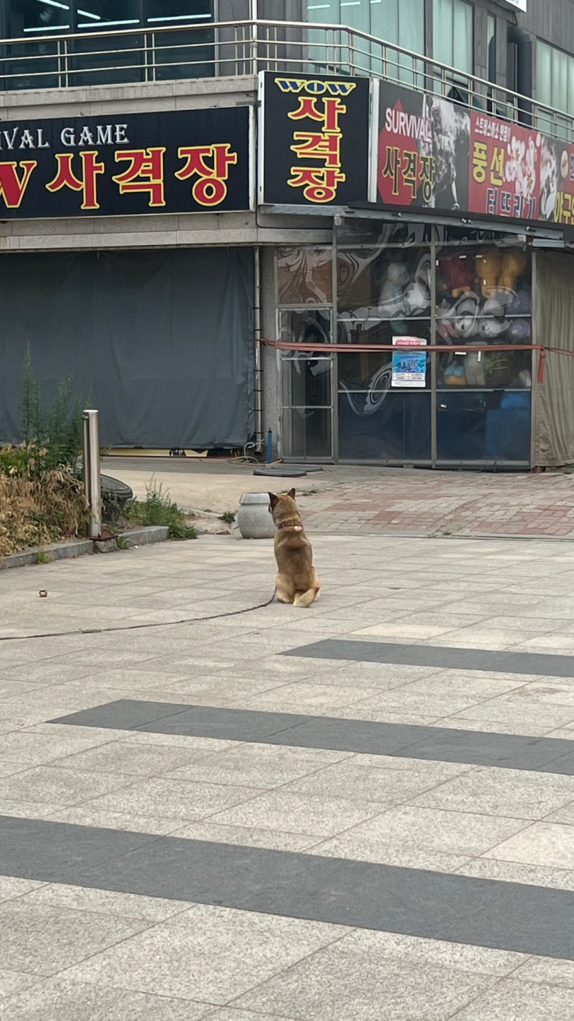 카라타 에리카 ig 한국 소속사 공식 새로운 프로필 넷플 기프트 양양.. | mbong.kr 엠봉