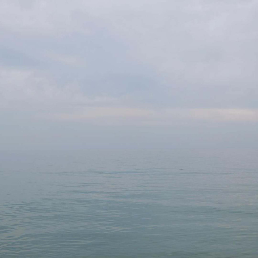 카라타 에리카 ig 한국 소속사 공식 새로운 프로필 넷플 기프트 양양.. | mbong.kr 엠봉