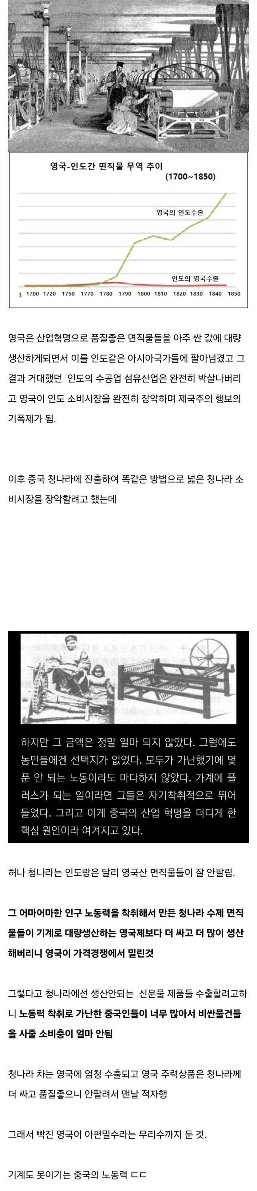 짤티비 - https://jjtv.kr