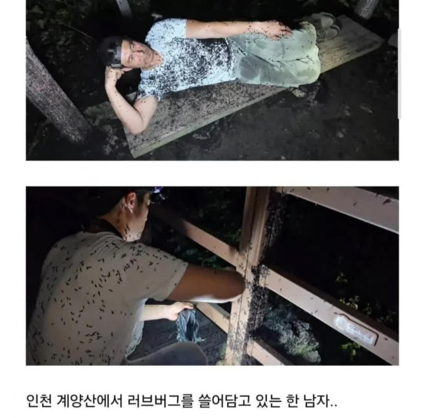 짤티비 - https://jjtv.kr