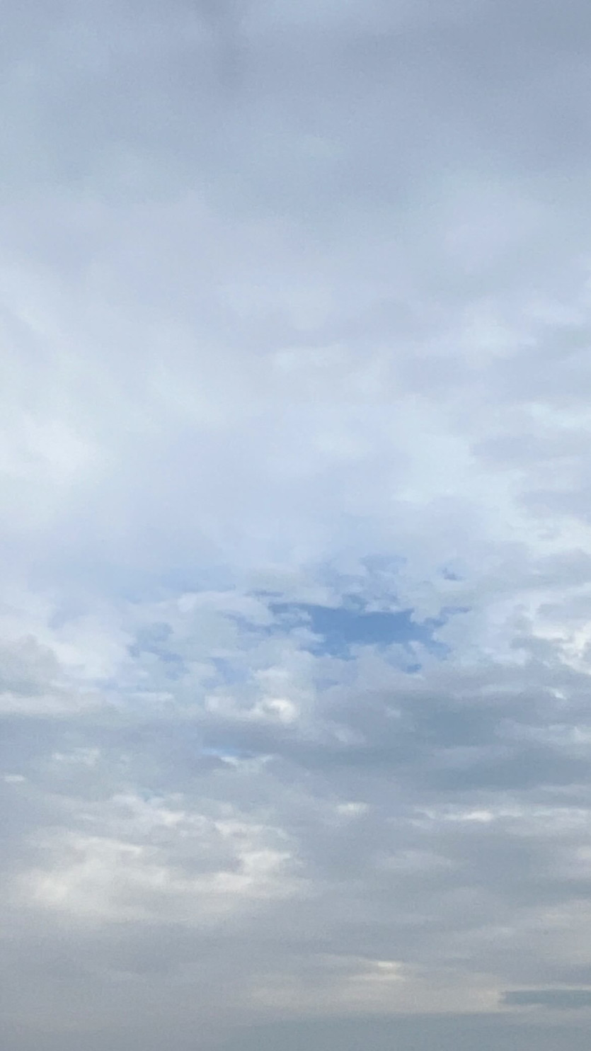 카라타 에리카 ig 한국 소속사 공식 새로운 프로필 넷플 기프트 양양.. | mbong.kr 엠봉