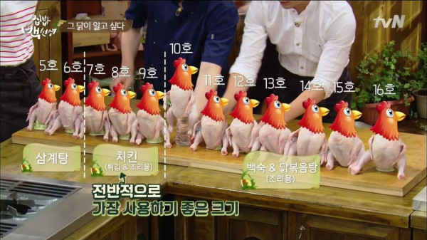 3556424094_JGXa06UD_5656f9bd3f1860aefc9b8251efa0c95d9e669c9e