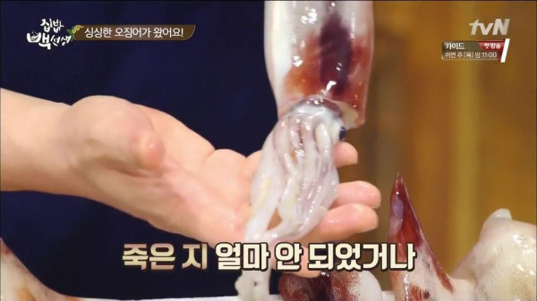 3556424094_TvczypSI_113a210213d95aa808d28d2a62df915bdc9b6820