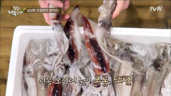 3556424094_Wj8FEOby_43c87f8daa6c95f2b51f72a77ea742351ec6a44d