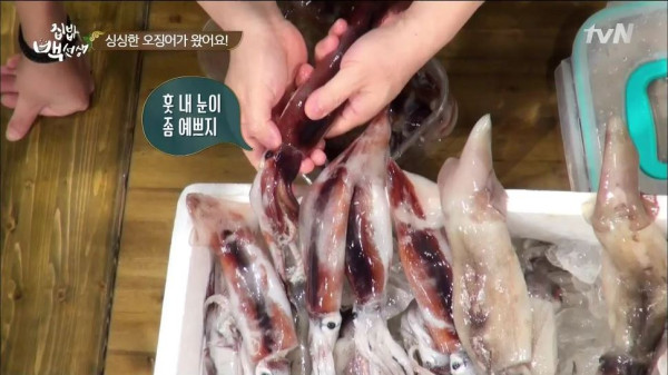 3556424094_YX2NktjL_0c43db0f3a4f1ec852a7f15727664a4b754d733d