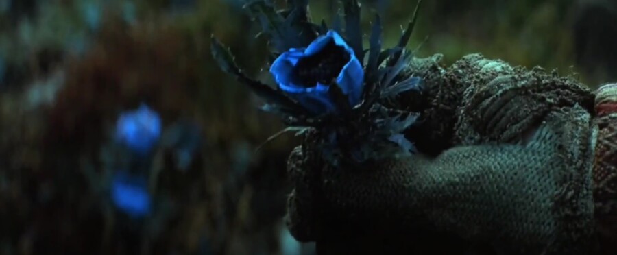 미국 억만장자... 동양에서 미허가 약물 복용 후 실종_2.jpg