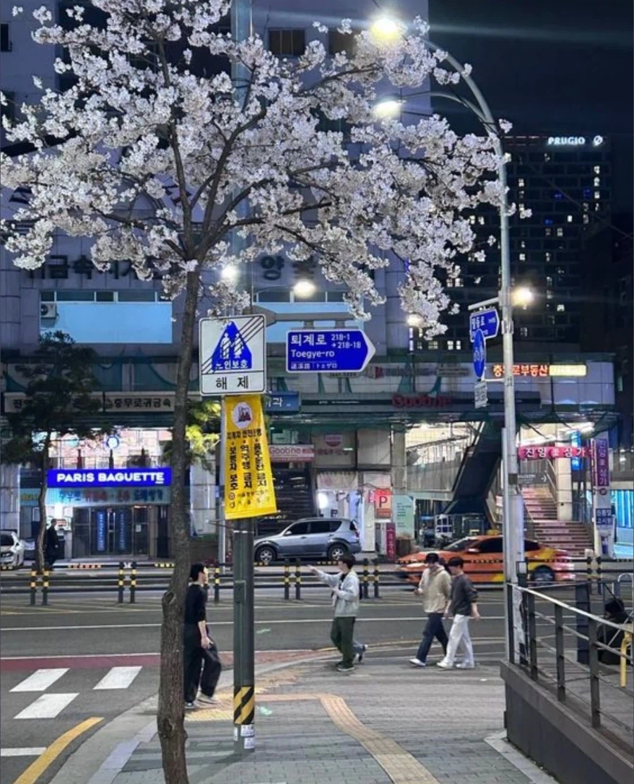 일본과 한국 길거리_3.webp