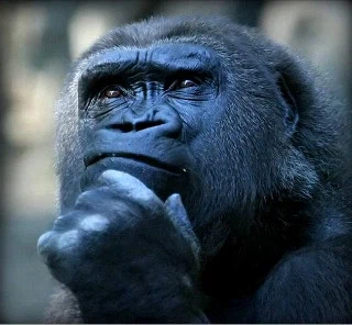 몬스터버스) 이번 신작 타이탄이 대놓고 오마쥬한 인기 괴수_5.webp