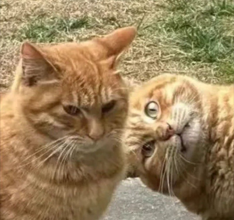 manipulate_img(this)