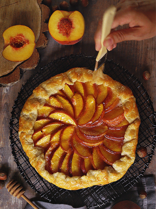 다운로드 (3).gif