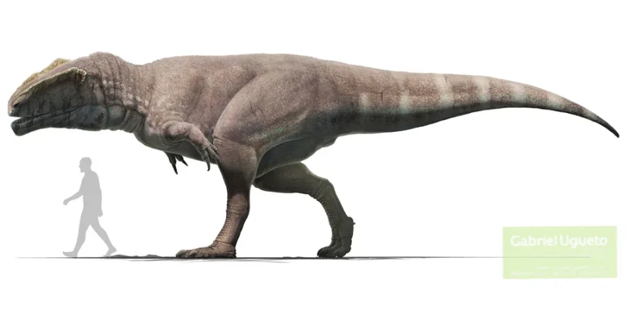 &quot;로보트는 다 건담인거 아님?&quot; 공룡덕후ver_15.webp