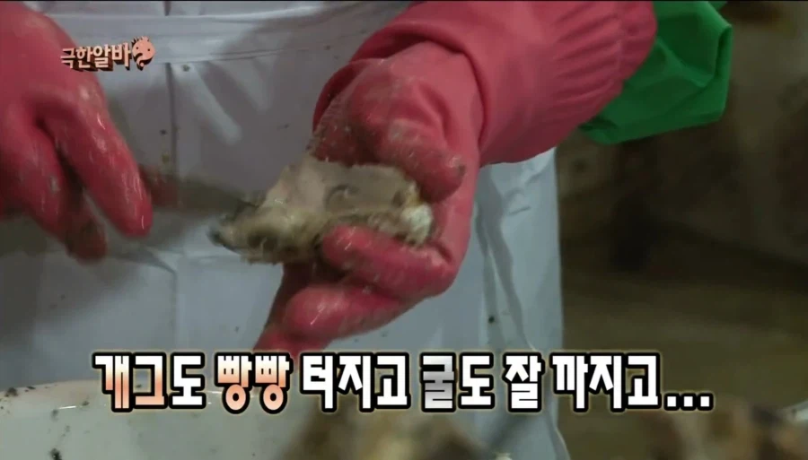 ㅇㅇㄱ) ???: 와~ 끝도 없이 있다!_2.webp