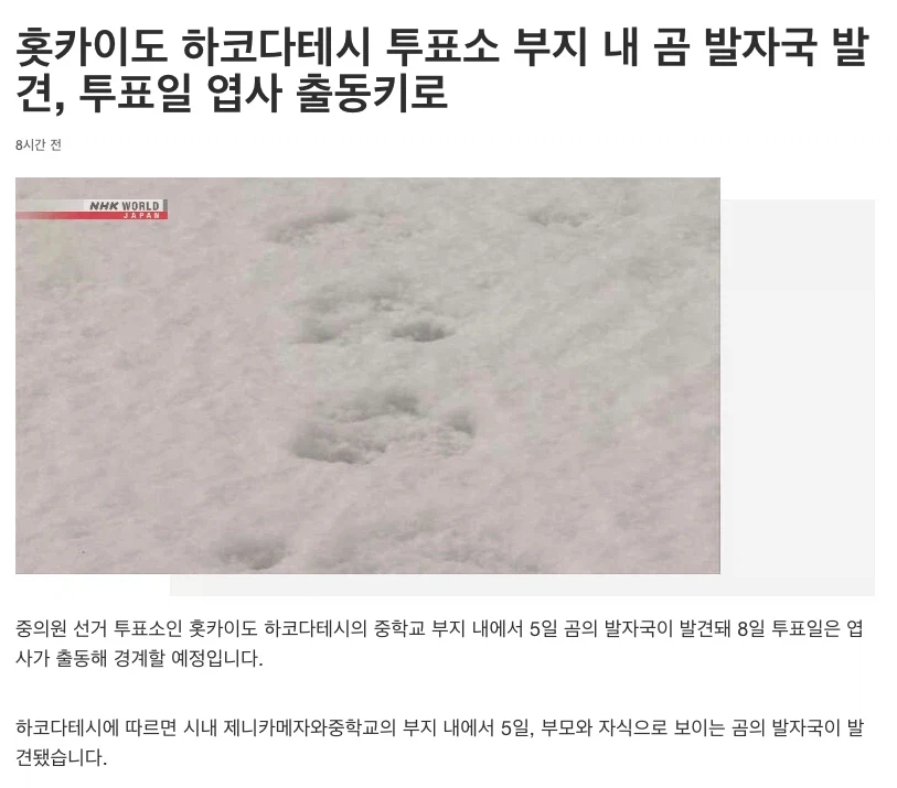 투표 거르고 그냥 집에서 쉬겠단 일본인.jpg_2.webp