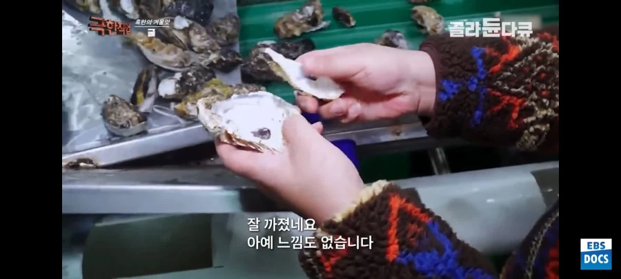 요즘 극한직업 출연자_5.webp