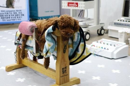 manipulate_img(this)