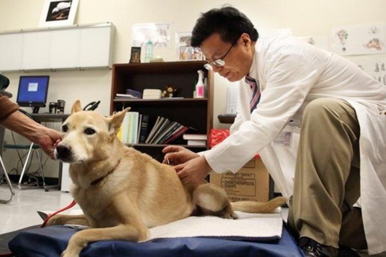 manipulate_img(this)