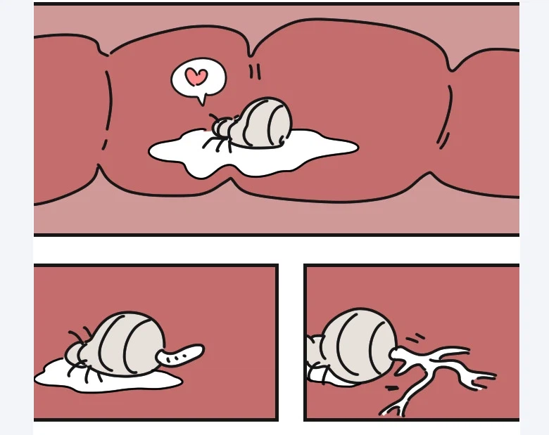 기생충을 조심해야 하는 이유_6.webp