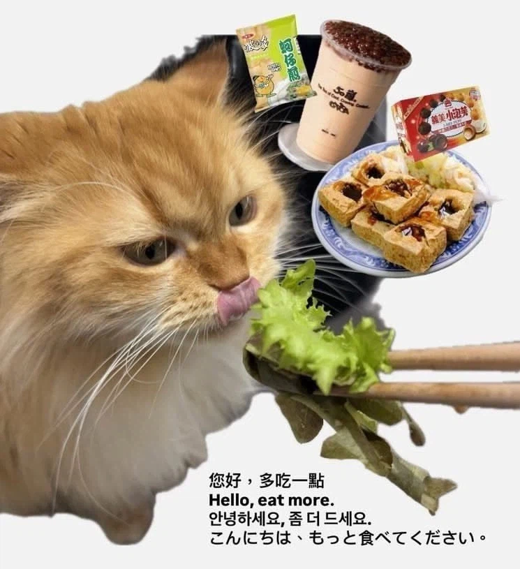 대만 여행 왔다는 글에 댓글 달아주는 대만사람들_3.webp