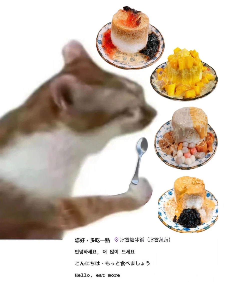 대만 여행 왔다는 글에 댓글 달아주는 대만사람들_5.webp