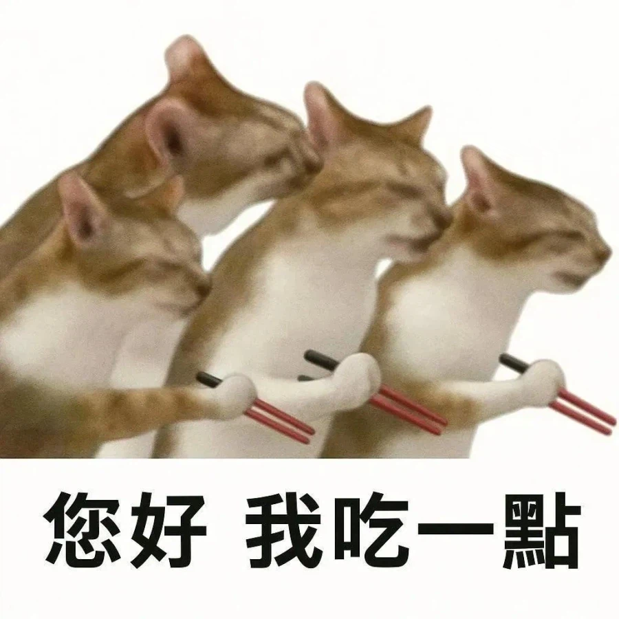 대만 여행 왔다는 글에 댓글 달아주는 대만사람들_7.webp