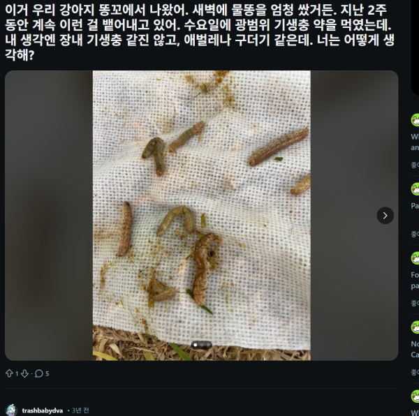 화면 캡처 2025-12-26 213349.png